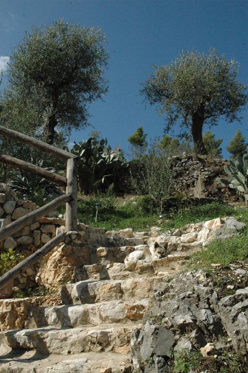 Sentieri Luminosi Lägenhet SantʼAgata deʼ Goti Exteriör bild